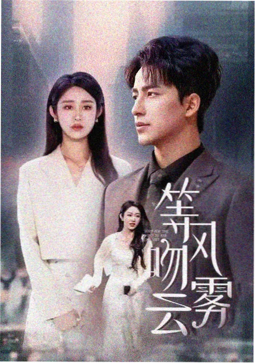剧集字幕形态观察记录配图